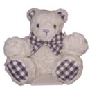 Sensory Teddy Bear