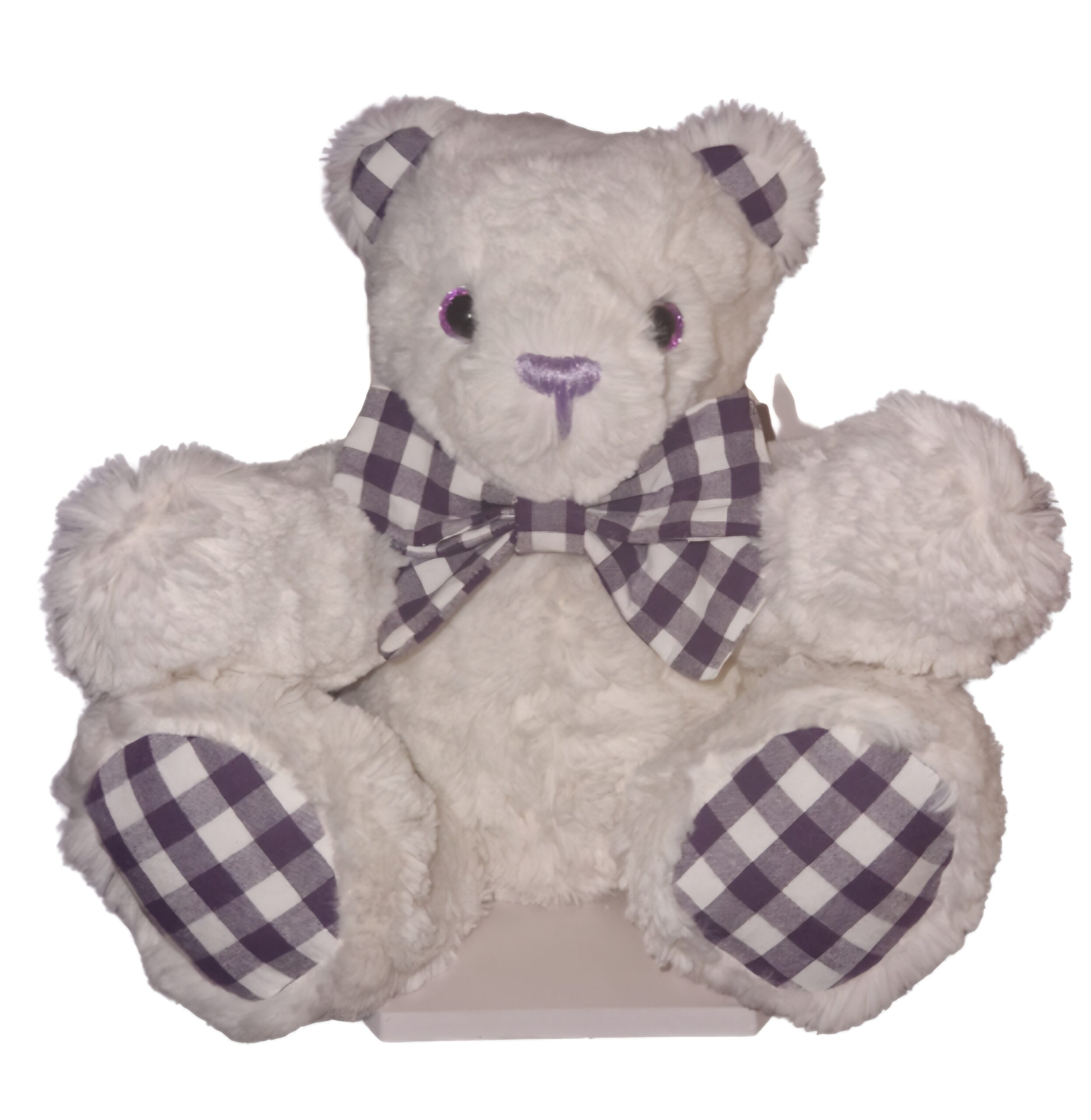 Sensory Teddy Bear