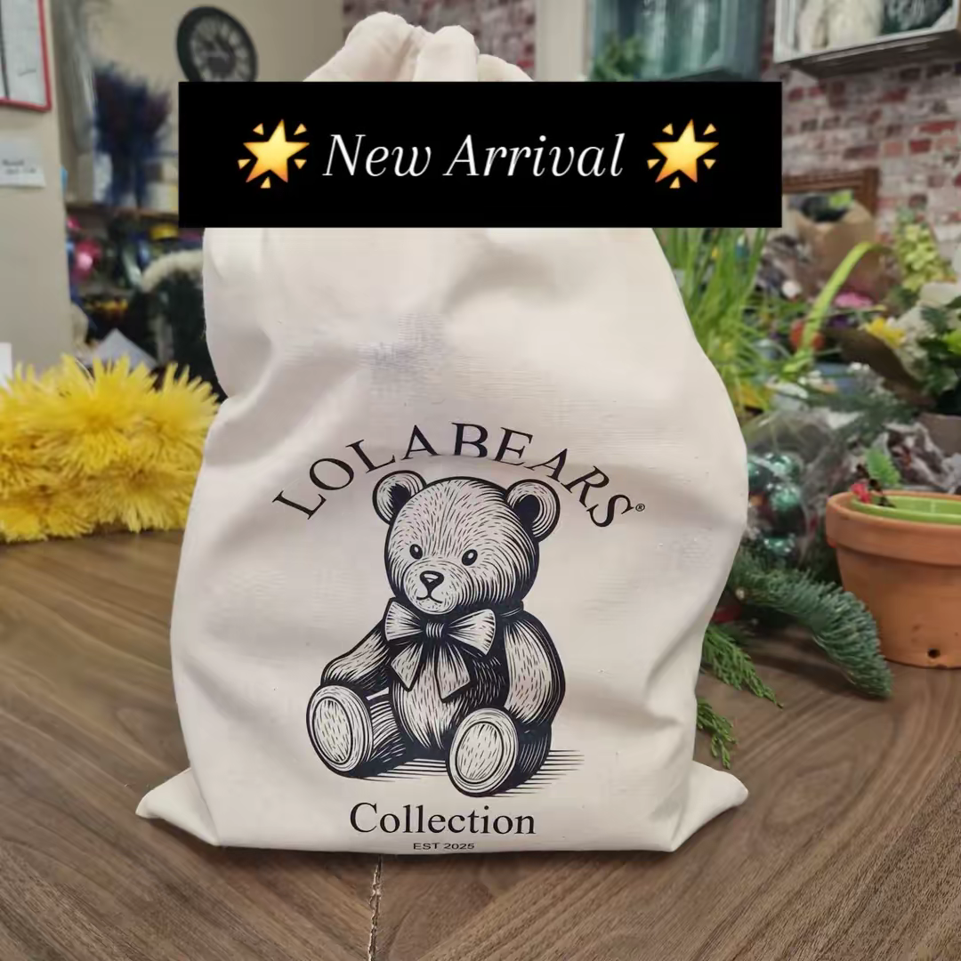 Lolabears Storage Bag